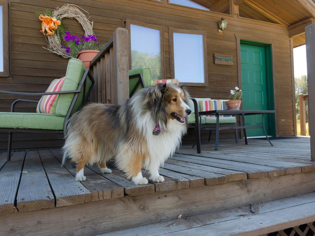 Hansen Guest Ranch Swan Valley Rom bilde